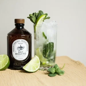 Mojito-Sirup (400ml) – Bio